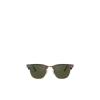 Ray·Ban/雷朋复古深棕Wayfarer镜框太阳镜男款圆框有色镜片修饰