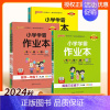 英语(外研三起) 三年级下 [正版]2024新版pass绿卡小学学霸作业本二年级上册一三四五六年级上下册语文数学英语人教
