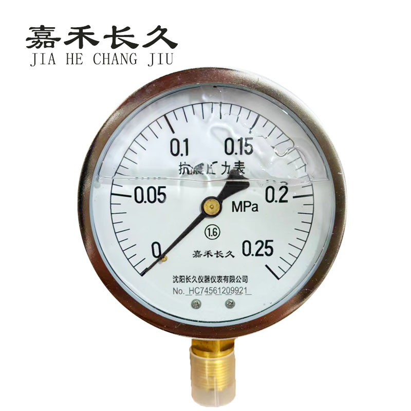 嘉禾长久+耐震压力表检测定制型+YTN100+块 0-0.25Mpa