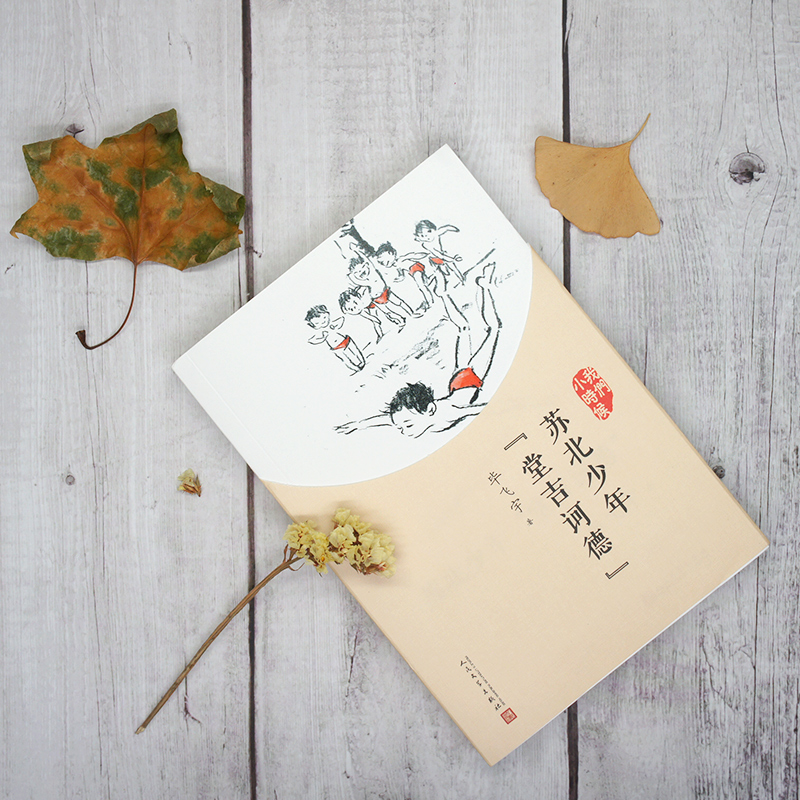 醉染图书苏北少年“堂吉诃德”9787020126941