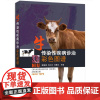 牛传染性疾病诊治彩色图谱牛病书籍牛传染病防治书籍养牛书牛病医疗书籍牛场养牛技术书9787109256958潘耀谦,刘兴友