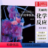 [正版]美丽的化学反应 梁琰 化学装置手绘图片 化学实验大全教程书籍
