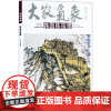 大家气象全集全套系列 第八辑大家气象韩国栋指墨 国画系列 绘画书籍 正版 江南周庄水乡 日出韶山 大足石刻