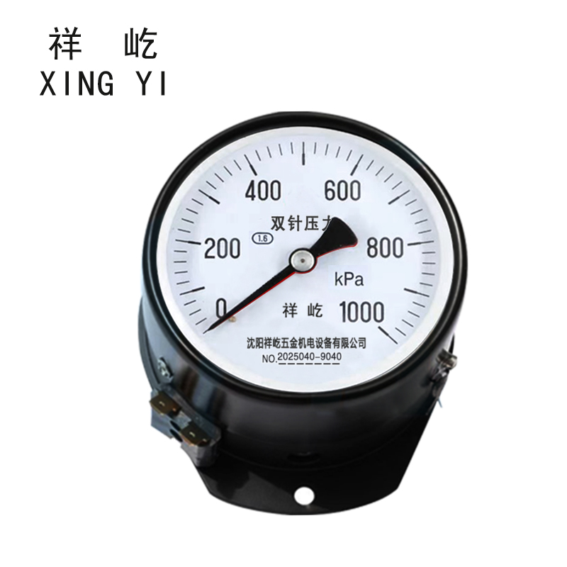 祥屹 双针双管压力表 YYS-JY-100Z 24V轴向 台 0-1000Kpa