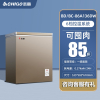 志高(CHIGO)一级能效小冰柜家用小型全冷冻冷藏两用节能商用冷柜 金色136减霜铜管