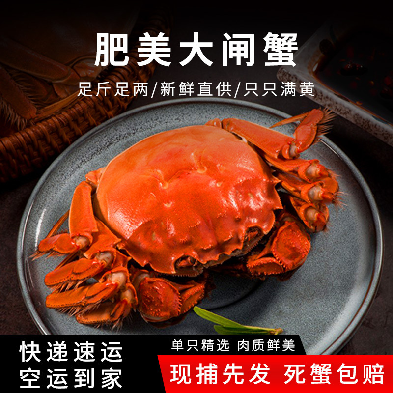 [活蟹]大闸蟹全母2两 8只中秋礼盒 去绳足重精品活蟹河蟹鲜活苏州直发