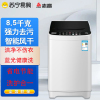志高(CHIGO)XQB120 8.5KG洗衣机全自动小型家用波轮大容量迷你洗脱一体租房宿舍 蓝光杀菌款