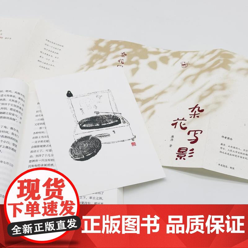 正版 杂花写影 一部童年小史,献给在草木与泥土中长大的你 生活·读书·新知三联书店高清大图