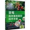 草莓高效基质栽培技术手册