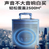 17寸音箱 喇叭+无线话筒