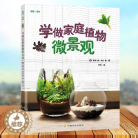 【醉染正版】正版学做家庭植物微景观 美植·美家 养花的书花园设计装修教程 花卉植物绿化植盆栽造景设计私家庭院室内园艺素设