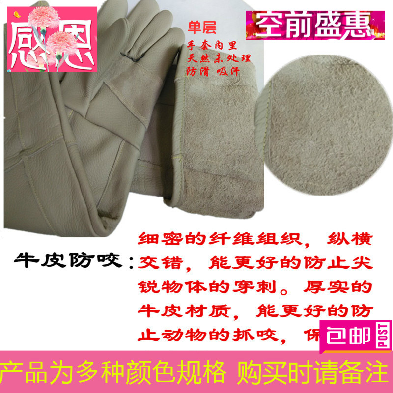 防手套动物猴子抓咬防猫抓仓鼠防狗咬训狗加什么药治手上宠物好图片