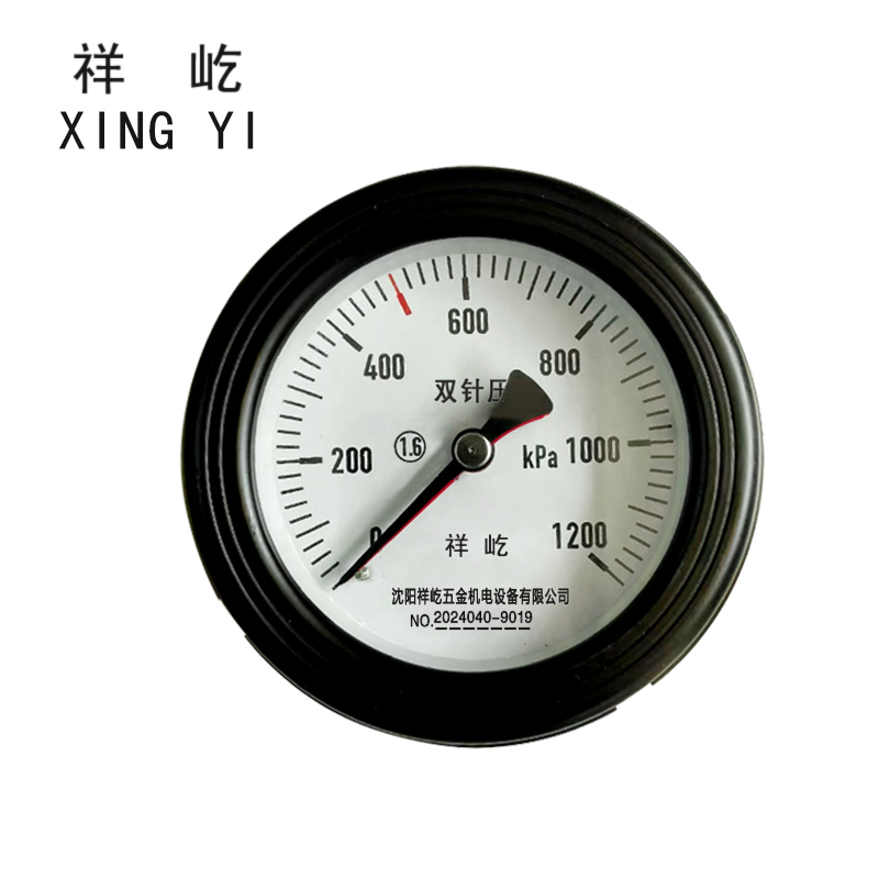 祥屹 双针双管压力表24V轴向 YYS100Z 个 0-1200Kpa