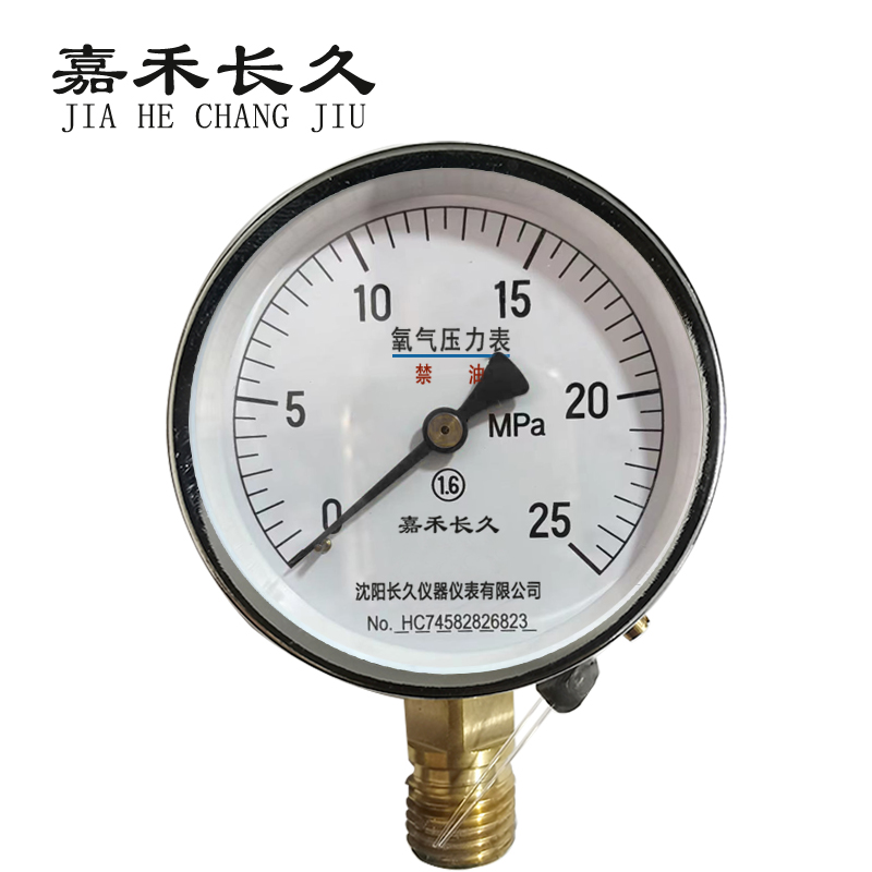 嘉禾长久+氧气压力表检测定制型+YO100+块 0-25Mpa