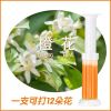 马桶小花清香厕所除臭香薰凝胶洁厕灵马桶清洁剂卫生间空气清新剂|[橙]1支