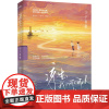 凉生,我们可不可以不忧伤 3 子夜歌(纪念版)乐小米9787573617972青岛出版社小说/青春/都市/言情/轻小说[