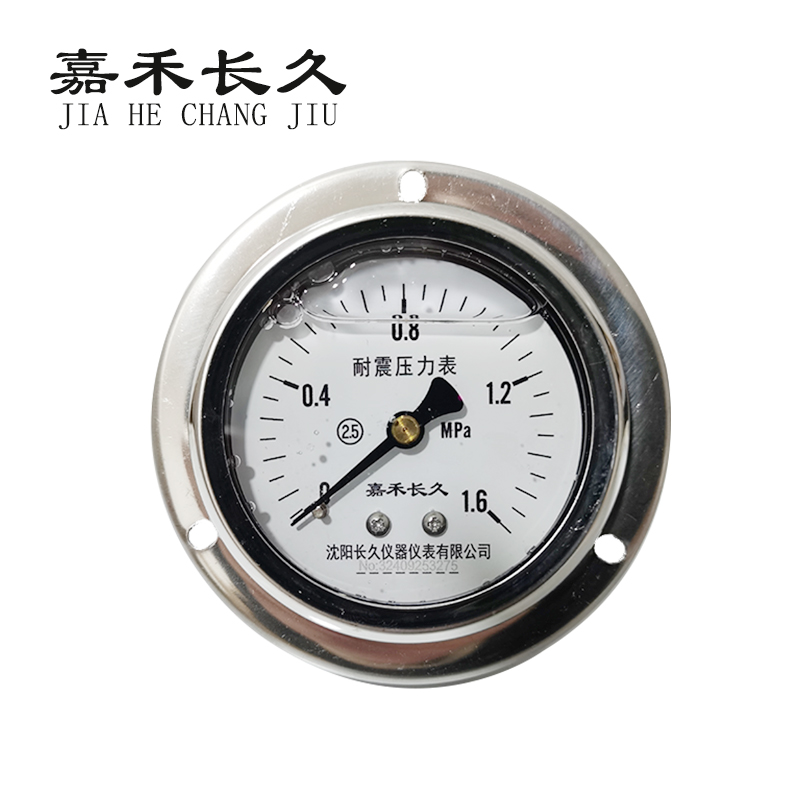 嘉禾长久/耐震压力表轴向带边/ YN60ZT/个 0-1.6Mpa