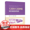 [出版社]毛囊和毛囊肿瘤组织病理学图谱/9787565929243/85/72/ 单士军 郭莹 北京大学医学出版社