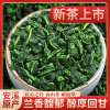 2024新茶铁观音清香型高山安溪铁观音春茶1725乌龙茶叶散装500g