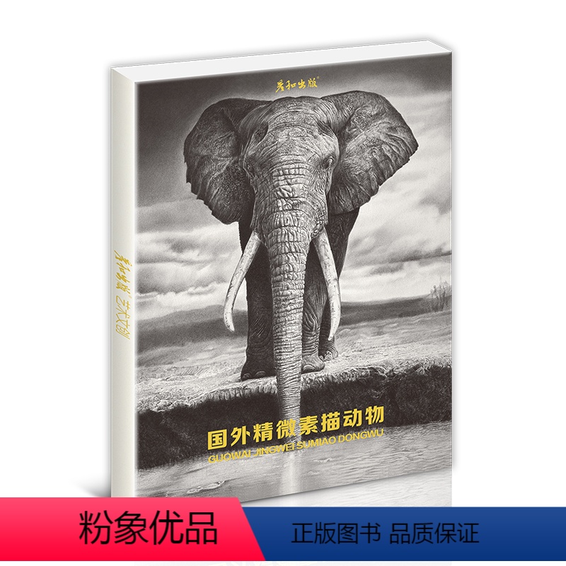 [正版]国外精微素描动物绘画临摹卡片明信片大尺寸高清图画册集手绘插画复古出类艺术趣味线描创意黑白超写实狮子