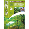 音像33:植物家族宋馥华