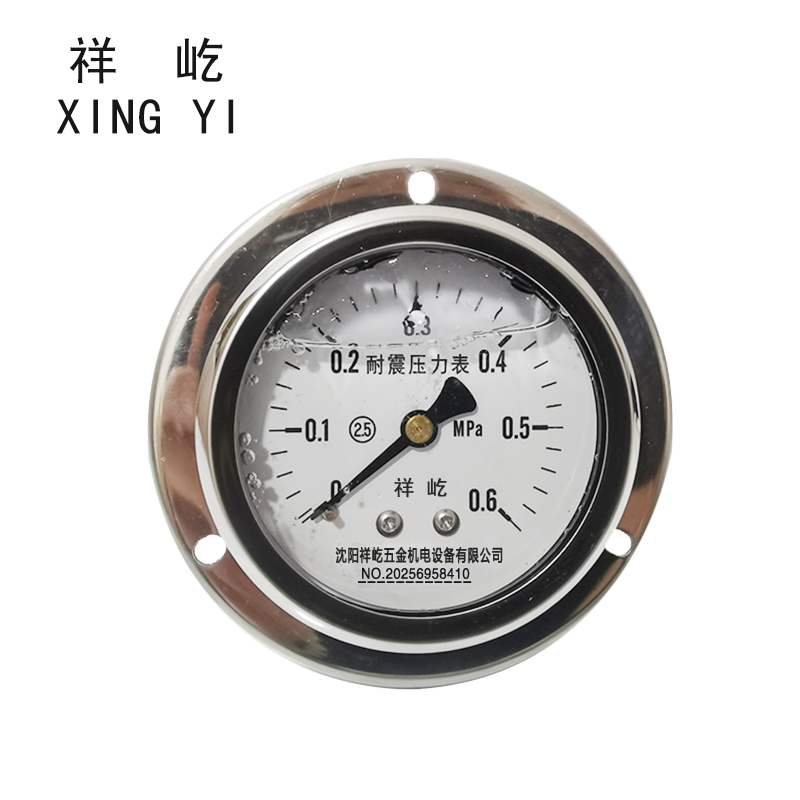 祥屹 耐震压力表(轴向带边) YN60ZT 块 0-0.6MPa