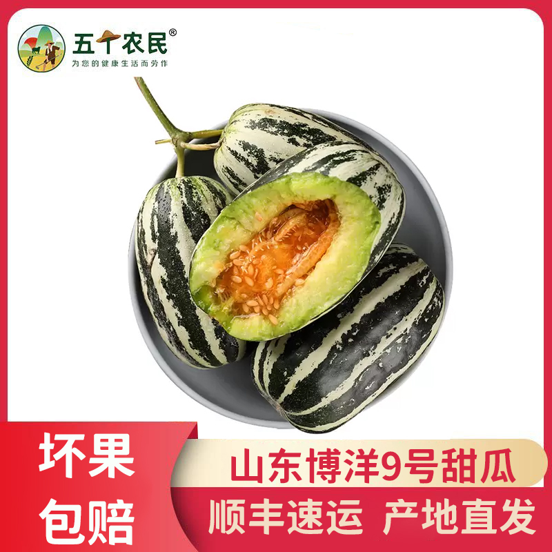 五个农民山东博洋9号甜瓜带箱3斤新鲜水果脆甜香瓜顺丰速运视频