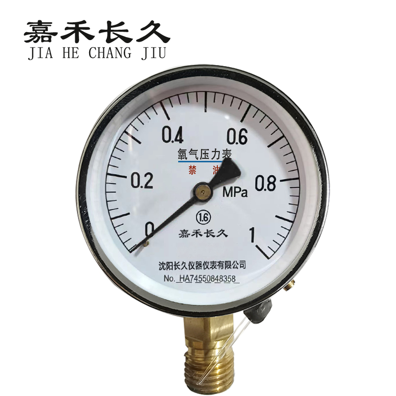嘉禾长久+氧气压力表检测定制型+YO100+块高清大图