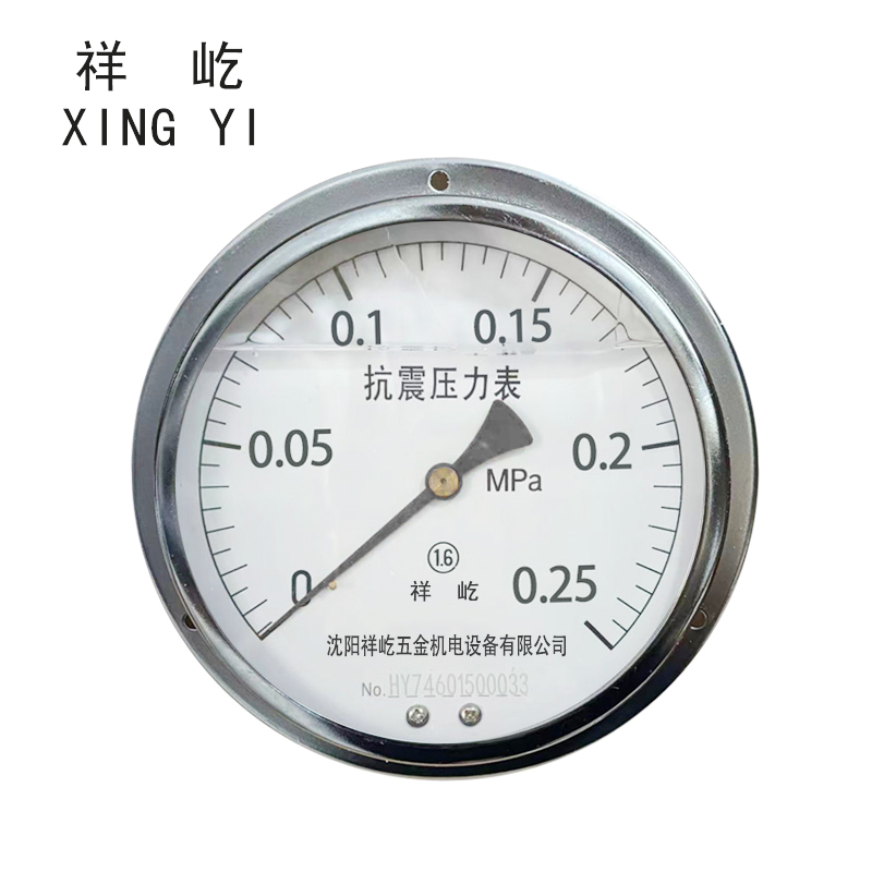 祥屹+耐震压力表轴向带边检测定制型+YTN150ZT+块 0-0.25Mpa
