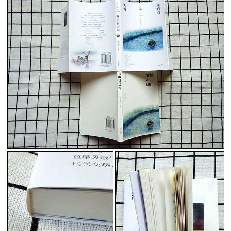 [正版] 我的湾是大海 张吉宙 著 纸房子系列中国儿童文学三四年级阅读2019寒假阅读绘画漫画连环画卡通故事 儿童文