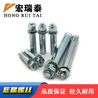 宏瑞泰 膨胀螺丝 M10*100 个