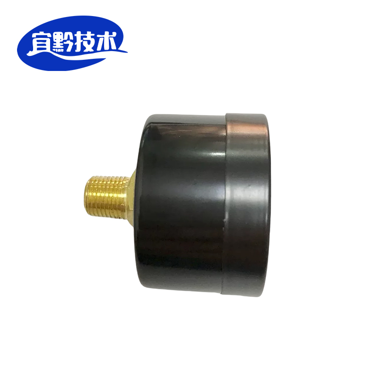 宜黔技术 压力表 GS50F 块高清大图
