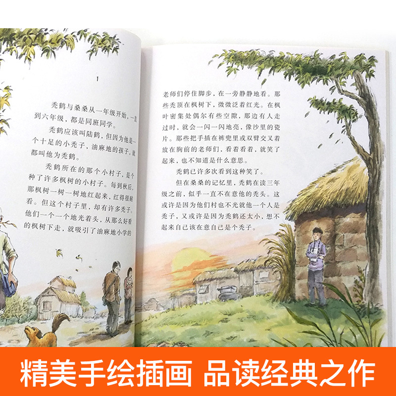 [全9册]曹文轩画本草房子 [正版]曹文轩草房子画本系列全套9册 天空的花环在长长的河流上秃鹤红菱船 三四五六年级课外书