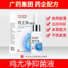 白云山敬修堂鸡尤净抑菌液鸡尤净鸡鸡清肉眼尤刺抑菌液10ml/盒足膜