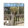 恬妞 扫帚 竹扫把 1.5米长(单位:把)