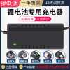 锂电池充电器24V36V48V60V54.6V67.2V滑板车代驾车独轮哈雷电动车 36V2A(8-12ah)视频头