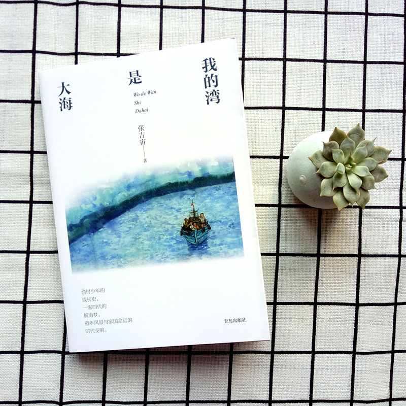 [正版] 我的湾是大海 张吉宙 著 纸房子系列中国儿童文学三四年级阅读2019寒假阅读绘画漫画连环画卡通故事 儿童文