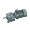 大迈质造 链条后段减速机RF87-150.78-YVP-1.5KW
