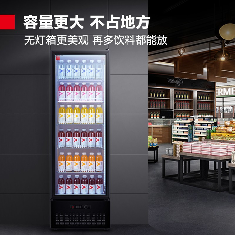 德玛仕(DEMASHI)展示柜 LG-390ZH1