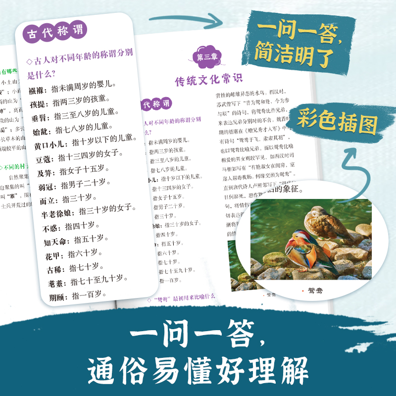 [套装2册]小学生必背古诗词+小古文 [正版]2024中国文化常识1000问 古代中华传统文化知识大字版 中国古典文学历高清大图