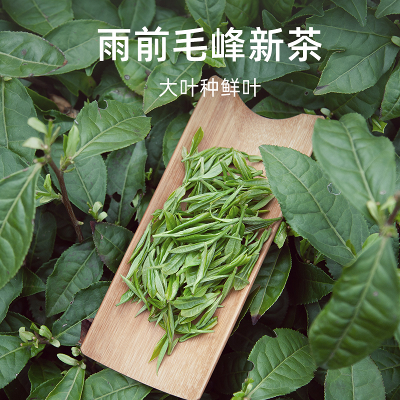 2025新茶上市艺魁堂茶叶正宗黄山毛峰茶叶雨前一级绿茶250g罐装原产地高清大图