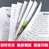 正版 成语故事 彩图注音版 完整版 小学生一二三年级课外书籍 名校-成语故事