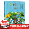 生命钟表匠 四年级课外读物 百班千人4年级共读书小学生9-11-13岁课外书大阅小森正版浙江少年儿童出版社KQ49