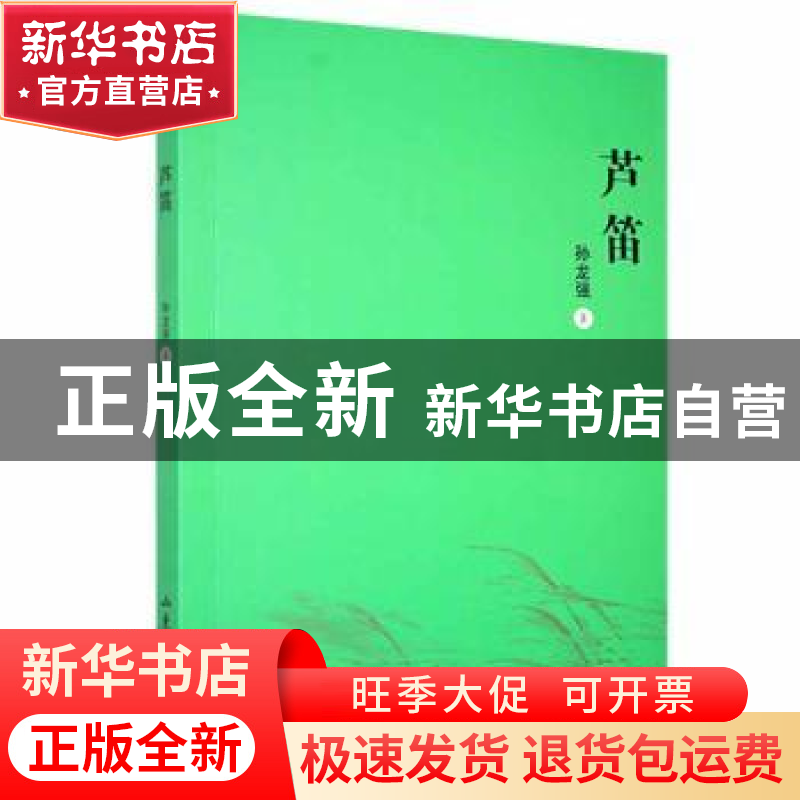 正版 芦笛 孙龙强 山东文艺出版社 9787532958641 书籍
