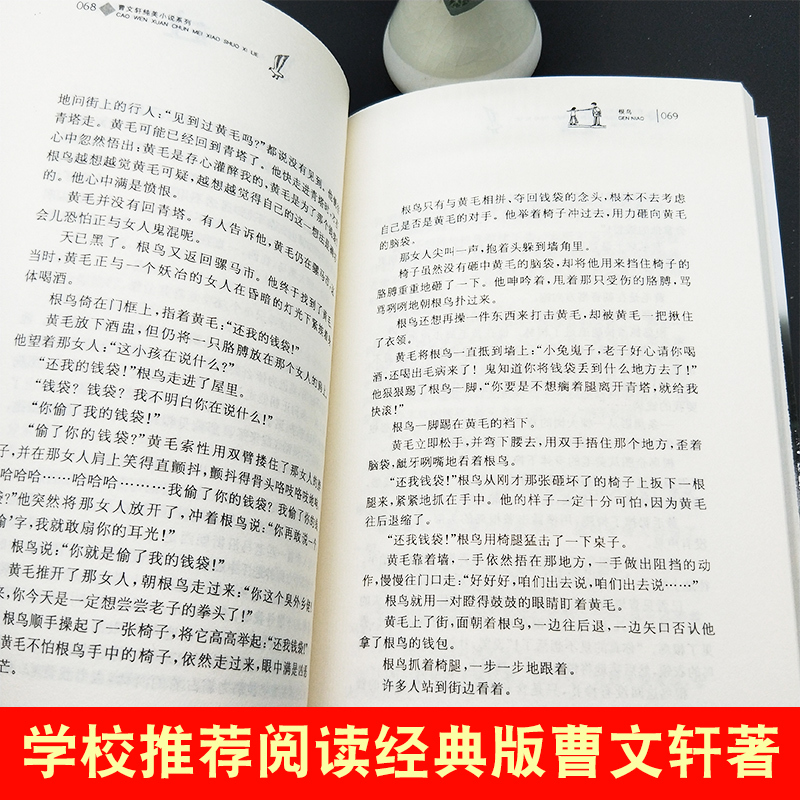 ❤天黑了 [正版]根鸟 书 曹文轩六年级课外书 纯美小说系列 9-10-11-12岁儿童少儿图书小学生四五年级课外阅读文