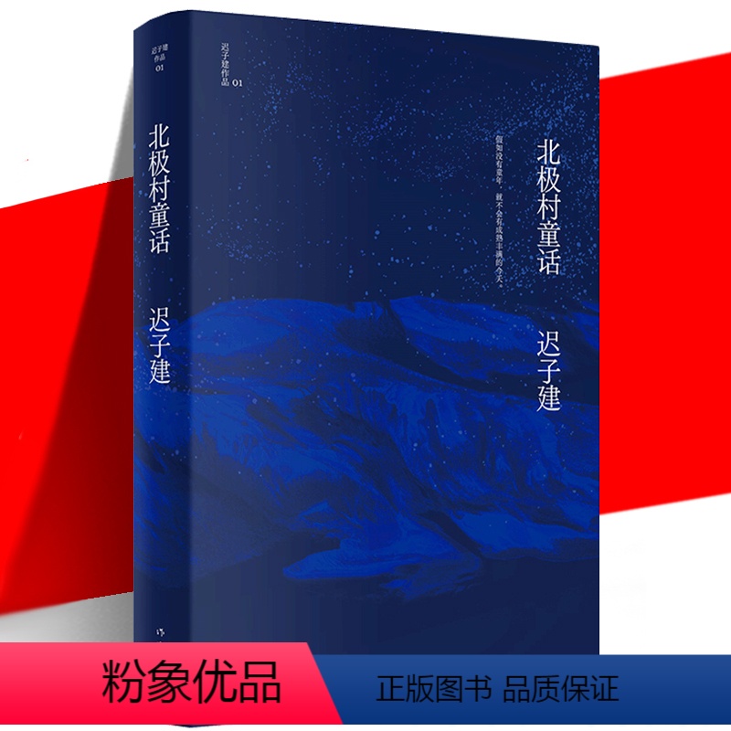 [正版] 北极村童话 迟子建作品 茅盾文学奖 鲁迅文学奖得主 没有夏天 奇 观慧记 中国当代文学中篇小说集书籍