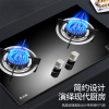 志高(CHIGO) F210D 双灶眼燃气灶具 (天然气) 4.8大火力台式嵌入式两用双灶家用灶具