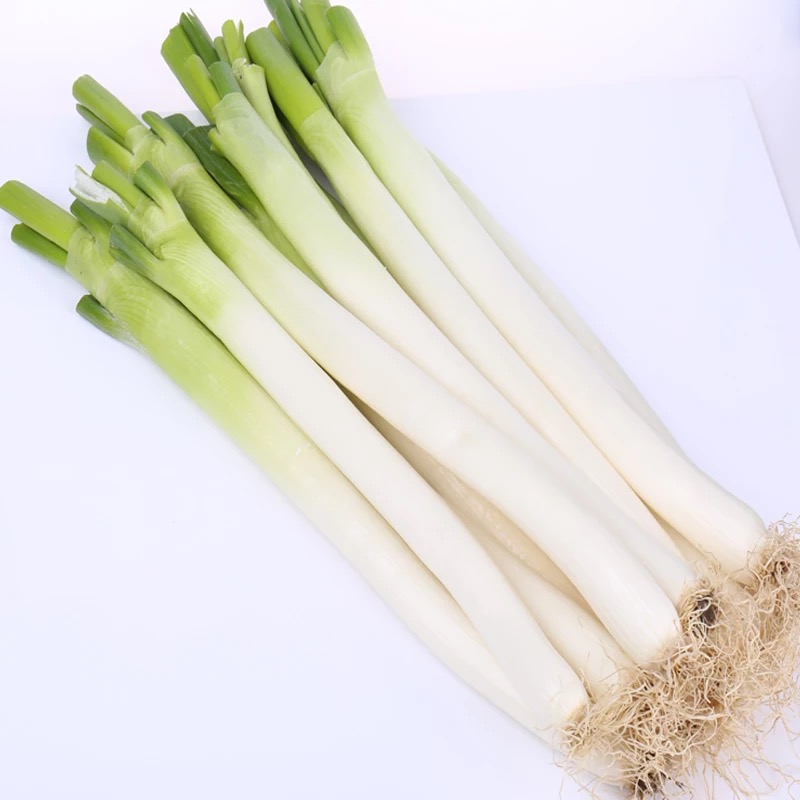 新鲜京葱散装销售