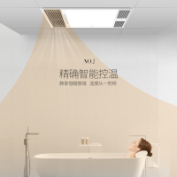 TCL集成吊顶嵌入式室内加热器卫生间浴室浴霸时尚多功能智能除湿干燥风暖取暖器排气扇led照明一体26Y5C/04
