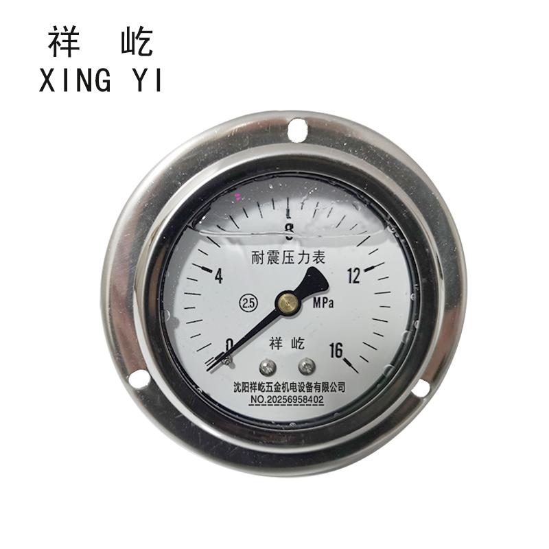 祥屹 耐震压力表(轴向带边) YN60ZT 块 0-16MPa